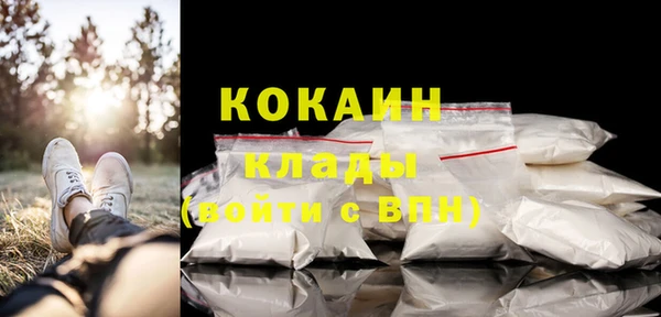 крисы Зерноград