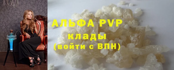 крисы Зерноград