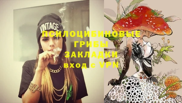 крисы Зерноград
