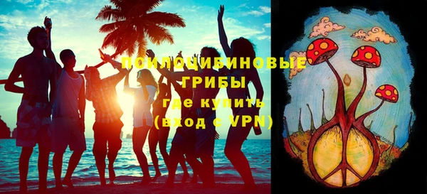 дмт Нязепетровск