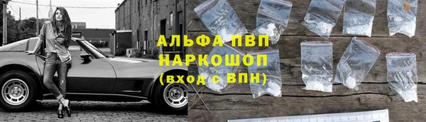 крисы Зерноград